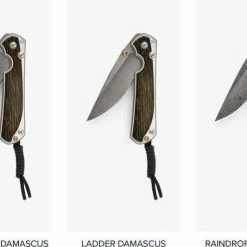 CHRIS REEVE KNIVES Chris Reeves Small Sebenza 31 Bog Oak