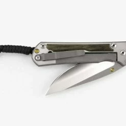 CHRIS REEVE KNIVES Chris Reeves Small Sebenza 31 Bog Oak