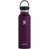 Hydro Flask 21OZ Standard Mouth Eggplant (S21SX540)