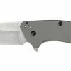 Kershaw 1812GRY Dividend Assist Gray