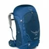 OSPREY PACKS Osprey ACE 50 Kids Overnight Backpack Backpacks