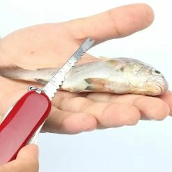 Victorinox Swiss Army Multi-Tool SwissChamp Pocket Knife